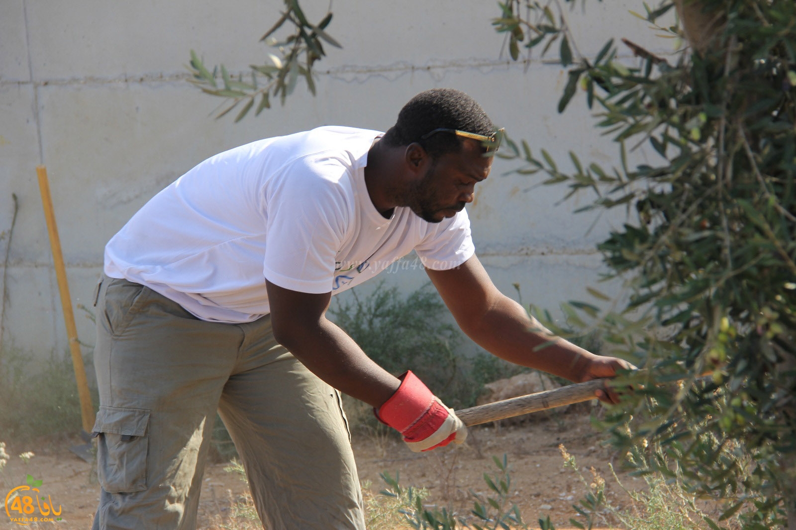 tasoo tandefet (38).jpg